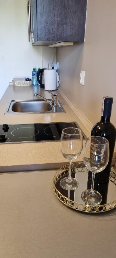Apartamenty Przy Porcie 54M2 Oraz 31M2 Z Tarasem Węgorzewo 外观 照片